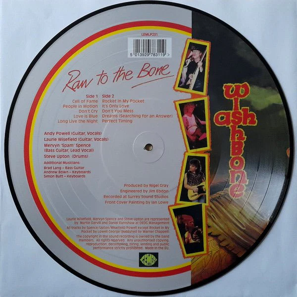 PICTURE DISC Wishbone Ash ‎– Raw To The Bone 2ª mano - Image 2