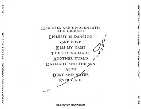 CD Antony And The Johnsons ‎– The Crying Light Ed. USA 2ª Mano - Image 2