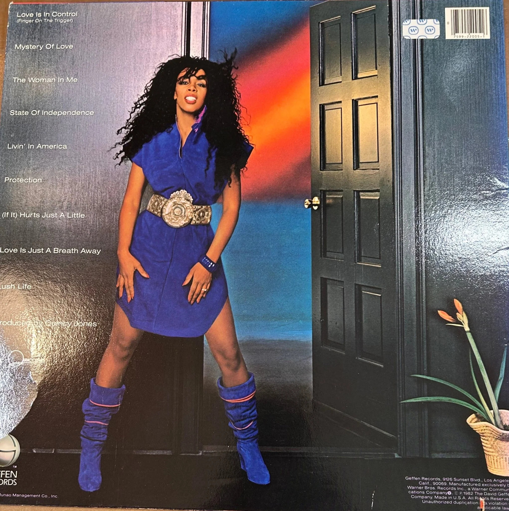 LP Donna Summer – Donna Summer 2ª Mano (Producto exclusivo recogida en tienda) - Image 2