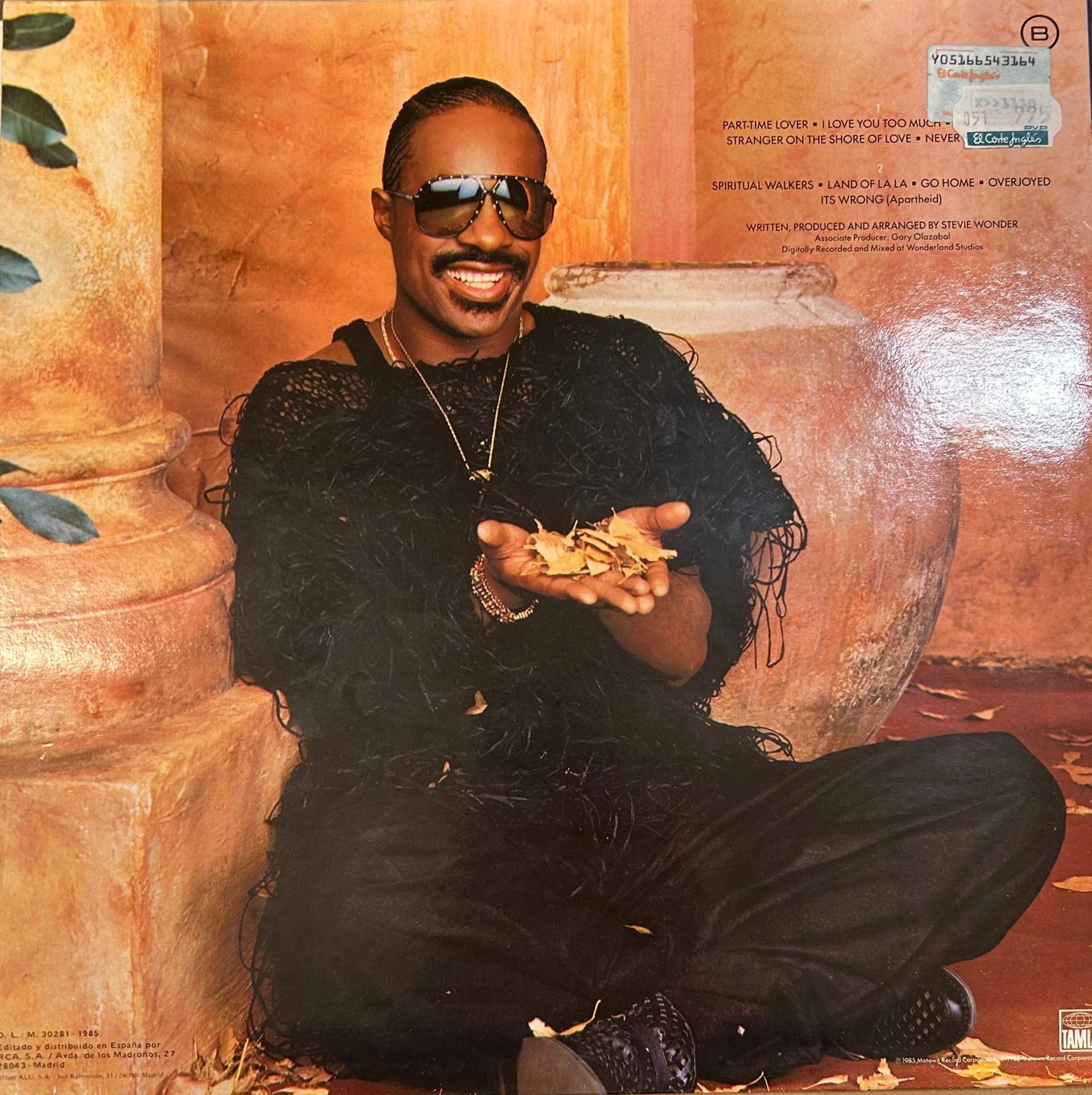LP Stevie Wonder – In Square Circle 2ª Mano - Image 2