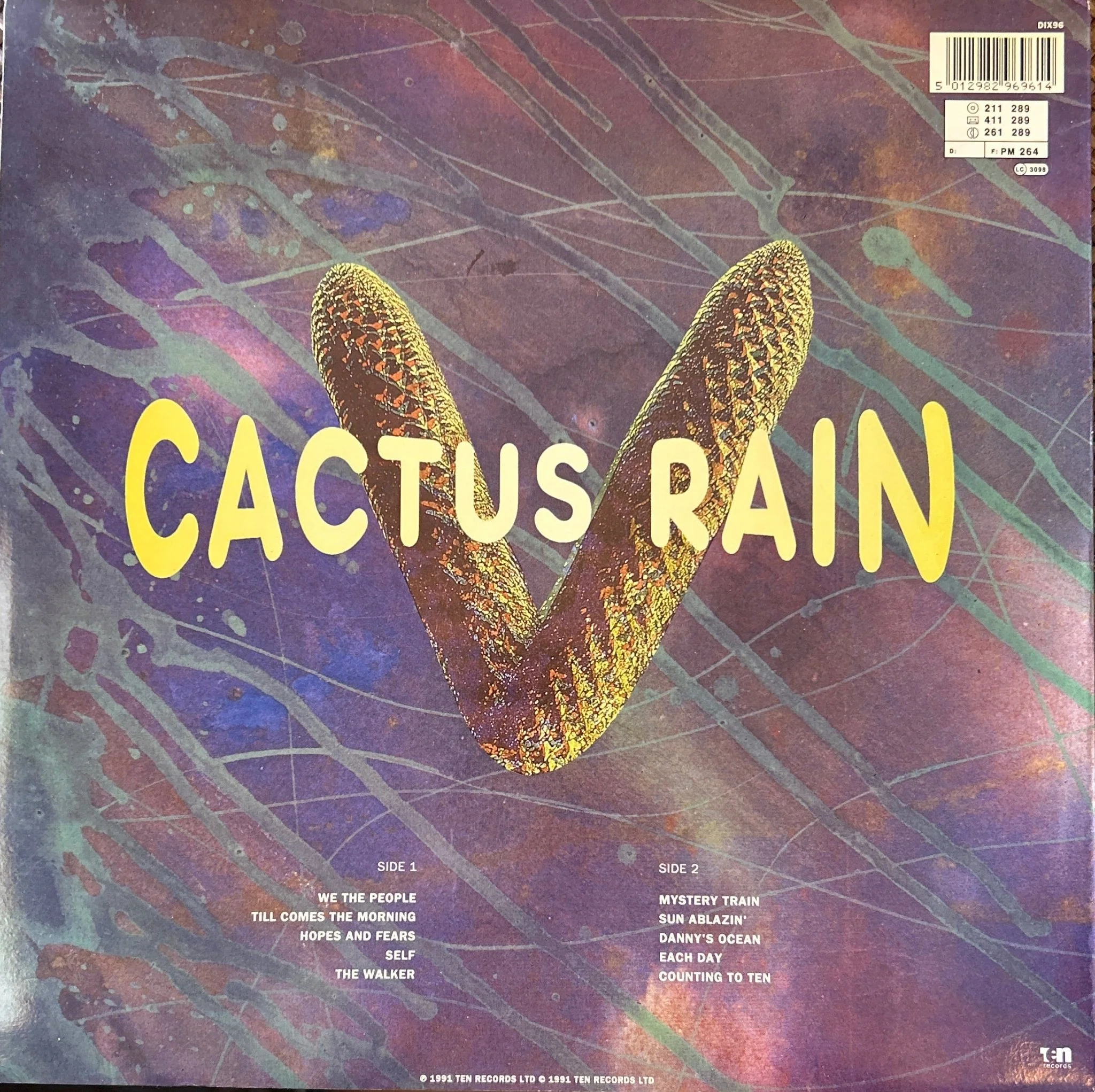 LP Cactus Rain ‎– In Our Own Time 2ª Mano - Image 2