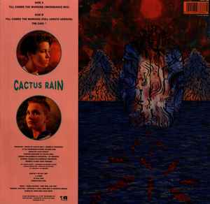 MAXISINGLE Cactus Rain ‎– Till Comes The Morning  2ª Mano - Image 2