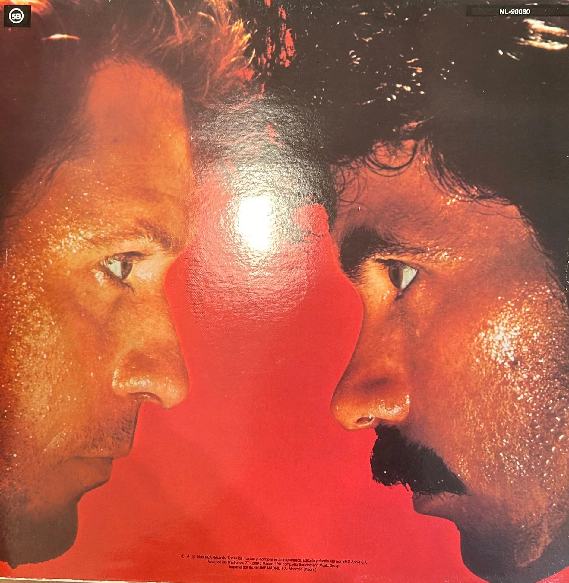 LP Daryl Hall + John Oates ‎– H₂O 2ª mano - Image 2