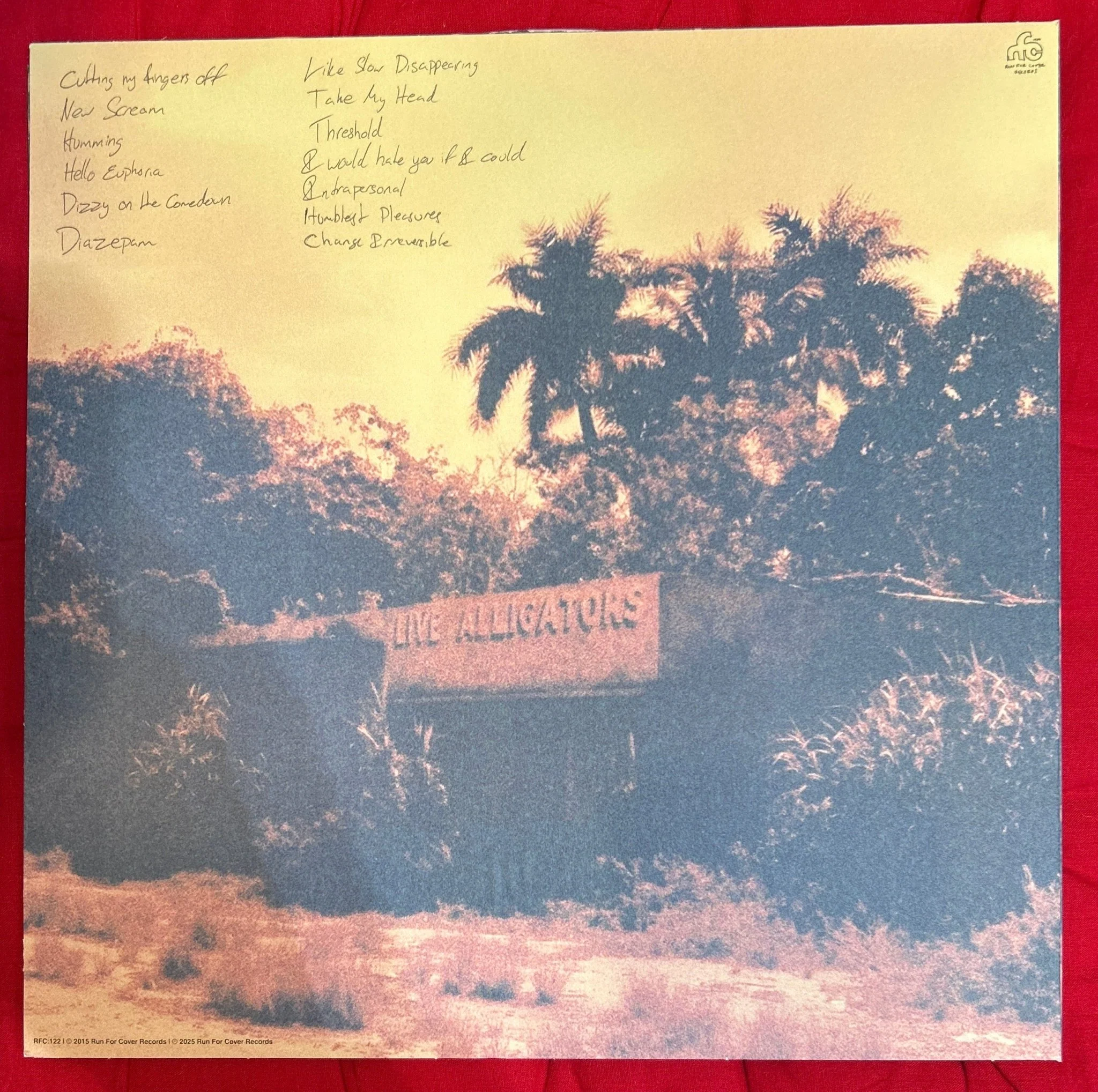 LP Turnover  ‎– Peripheral Vision 2ª Mano - Image 2