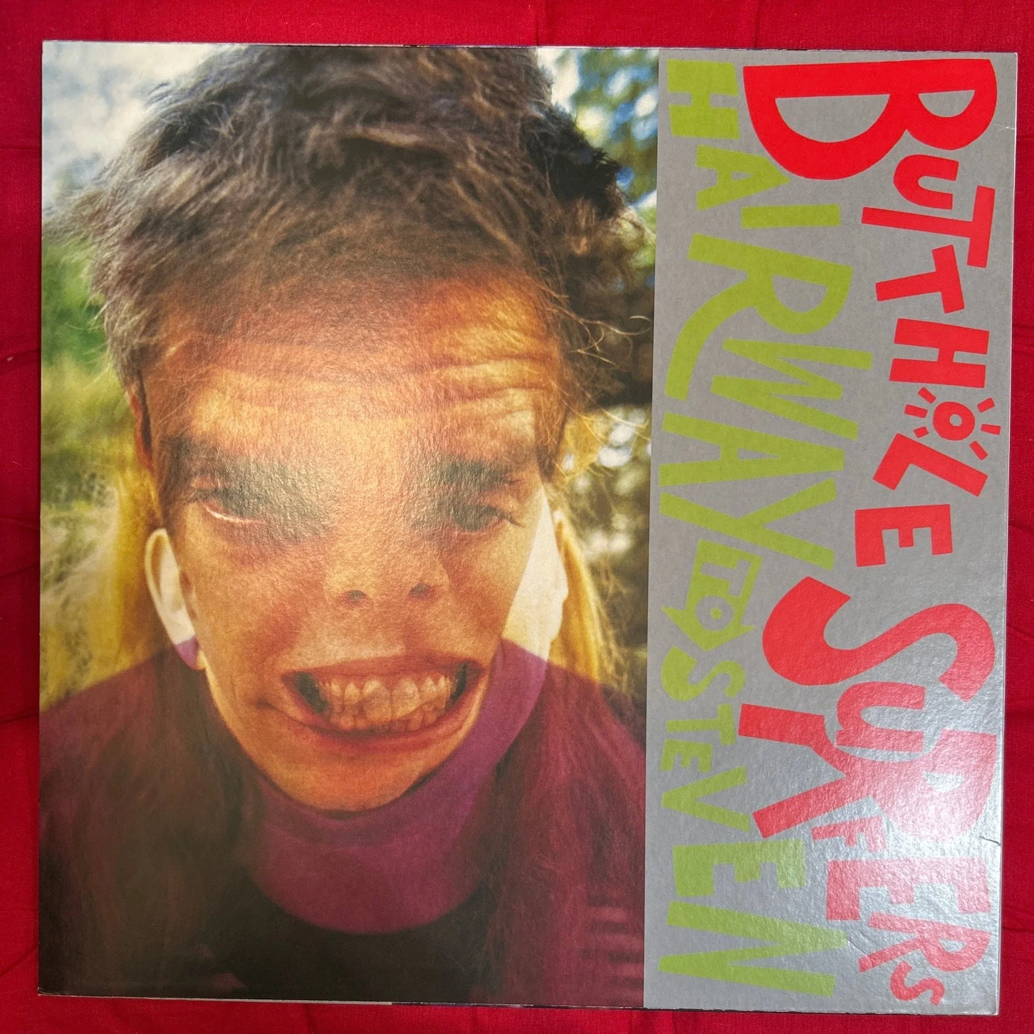 LP Butthole Surfers ‎– Hairway To Steven 2ª mano - Image 2