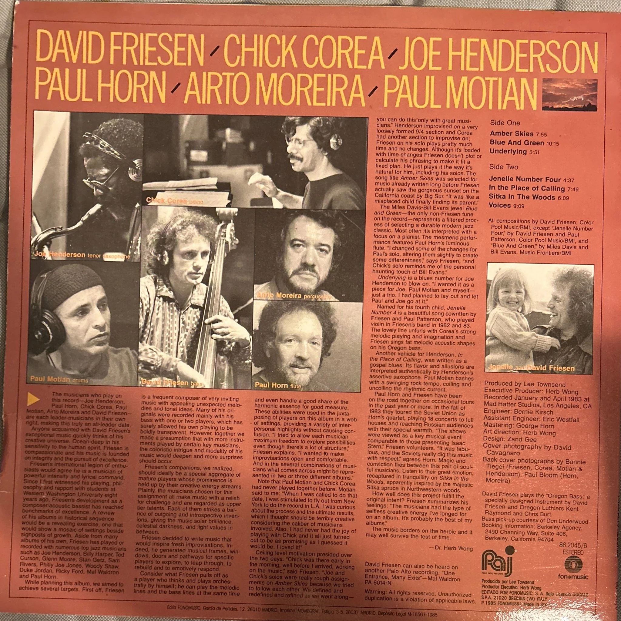 LP David Friesen ‎– Amber Skies 2ª Mano - Image 2