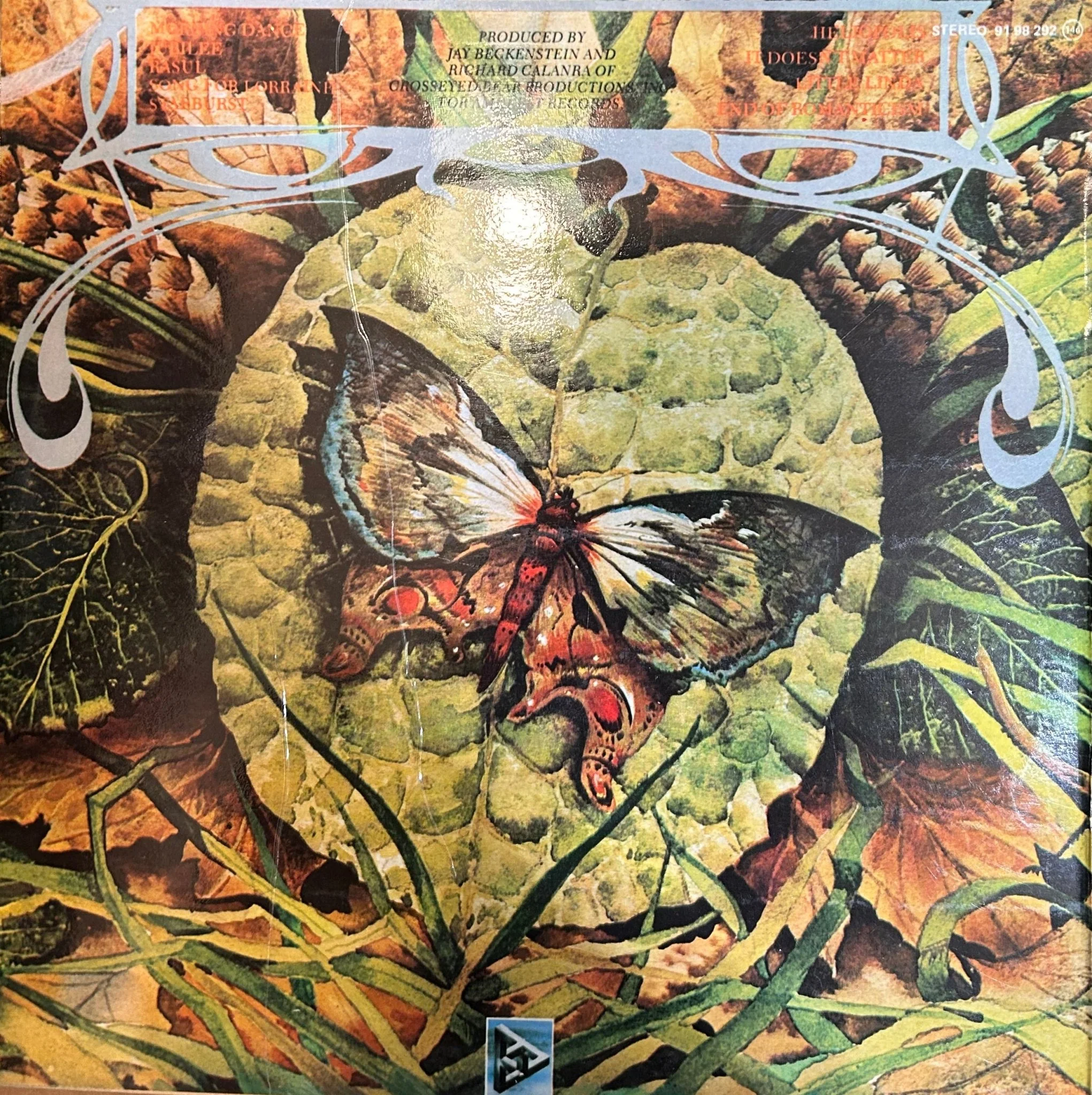 LP Spyro Gyra ‎– Morning Dance 2ª Mano (Producto exclusivo recogida en tienda) - Image 2