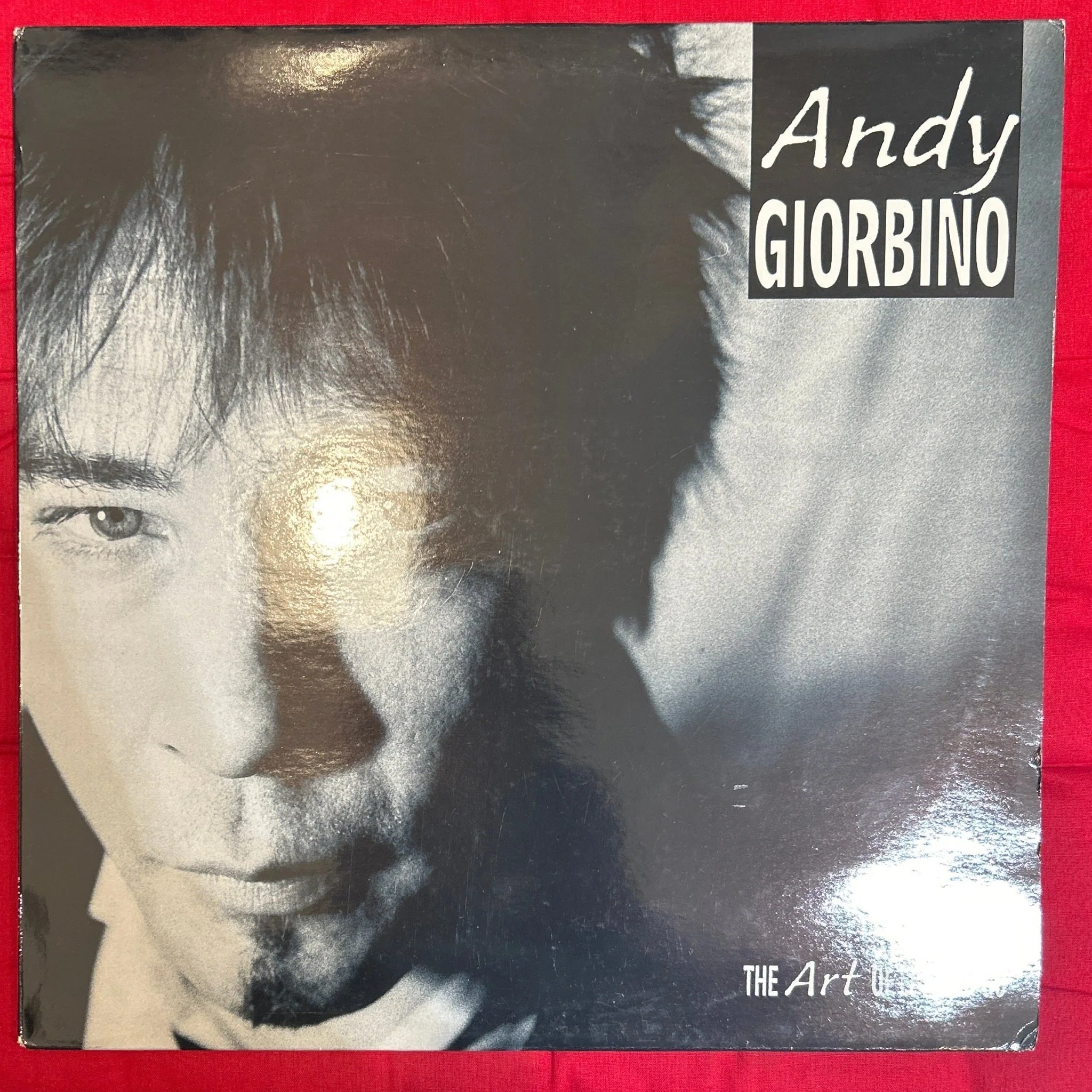 LP Andy Giorbino ‎– The Art Of Letting Go 2ª mano (Producto exclusivo recogida en tienda)