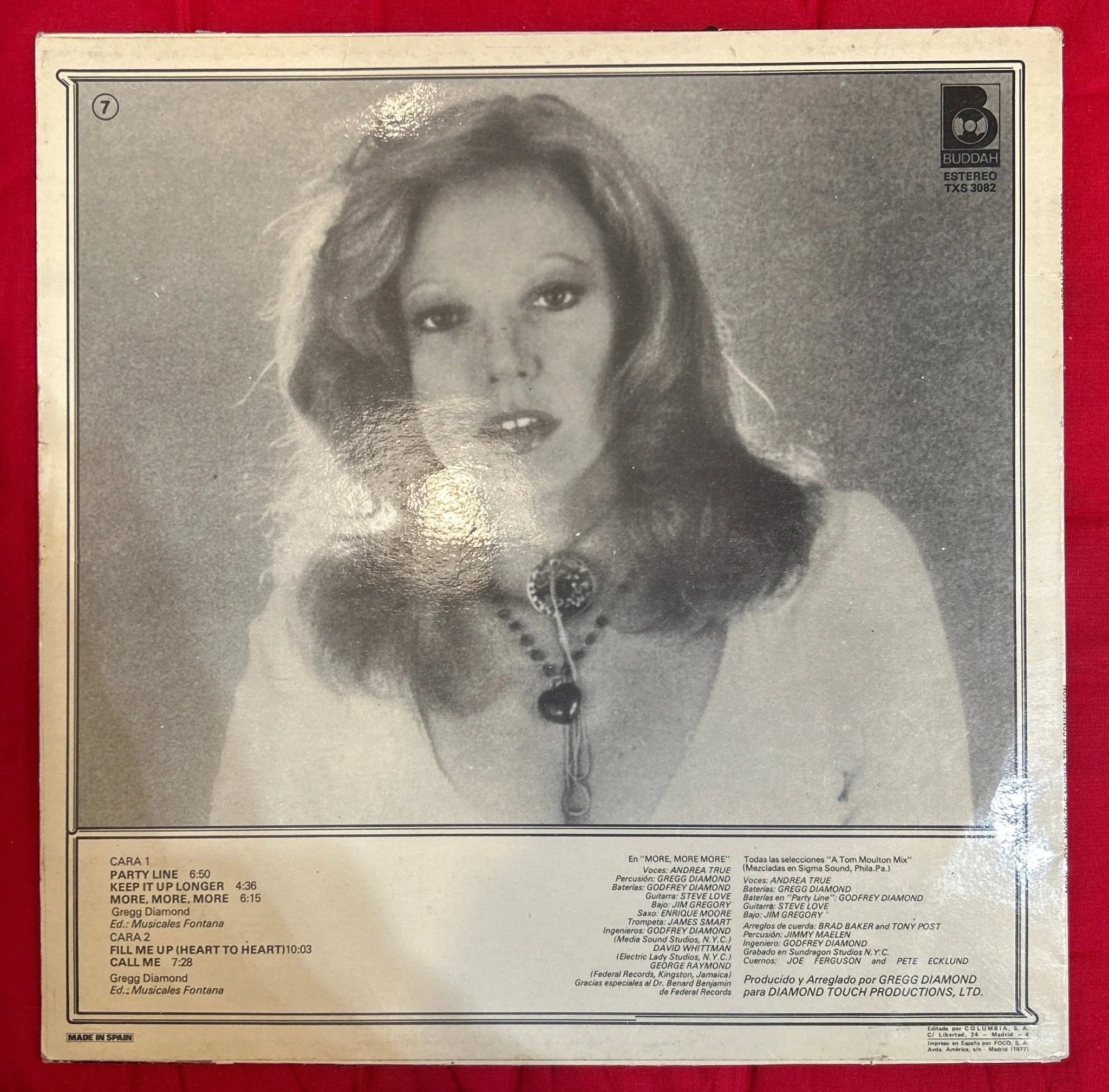 LP The Andrea True Connection ‎– More, More, More 2ª Mano (Producto exclusivo recogida en tienda) - Image 2