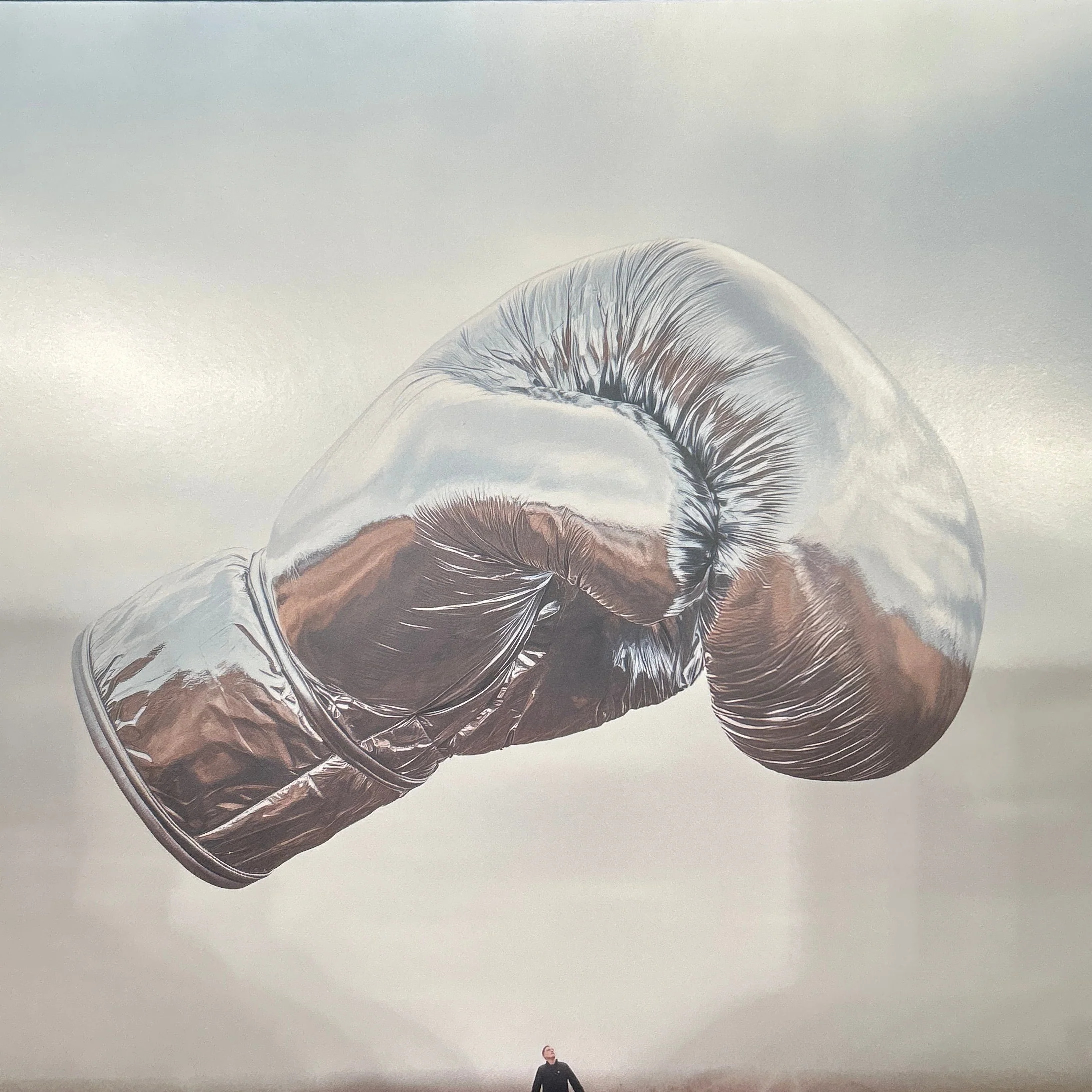 LP Bryan Adams ‎– Roll With The Punches 2ª mano