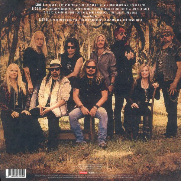 LP Lynyrd Skynyrd ‎– Last Of A Dyin' Breed 2ª Mano - Image 2