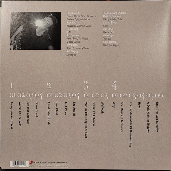 LP Steve Hackett – Wild Orchids Nuevo precintado - Image 2