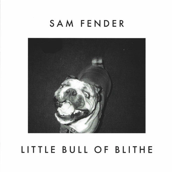 Single Sam Fender ‎– Wild Grey Ocean / Little Bull Of Blithe Nuevo precintado - Image 2